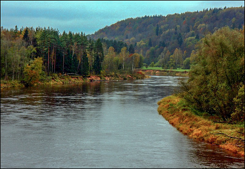 Gauja 1 - Arturs Ancans