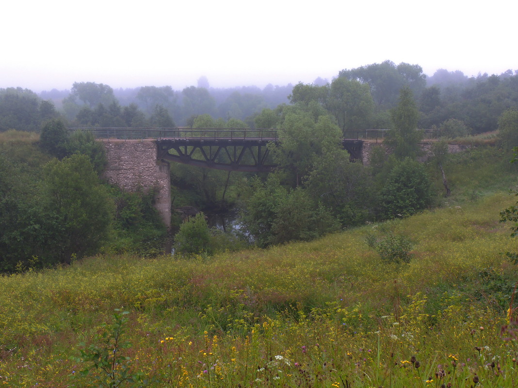 Мост в тумане - Андрей Зайцев