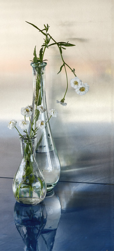 Натюрморт со стеклом - Наталия Крыжановская