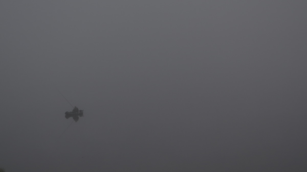 Туманным утром - Denis Pahomov