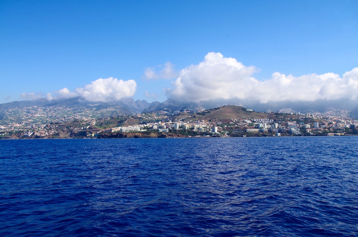 Madeira - Дмитрий Ланковский