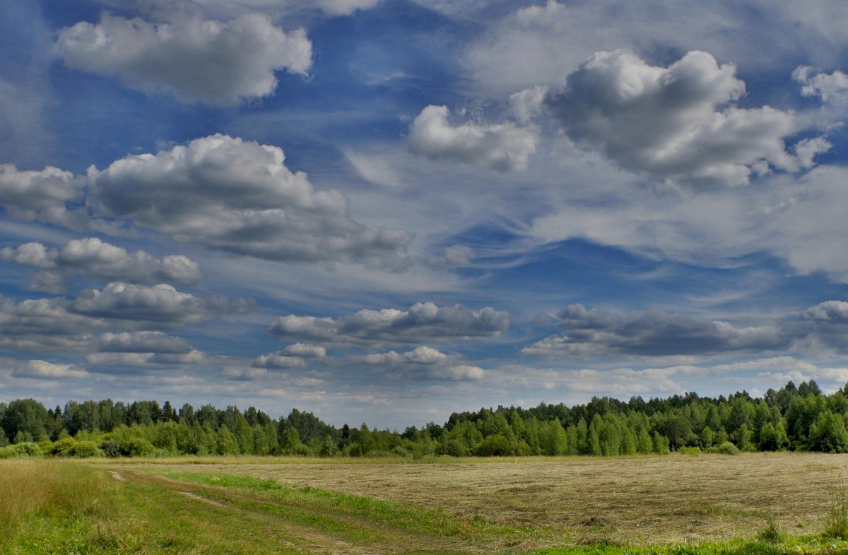 Облака над полем - Елена Артамонова