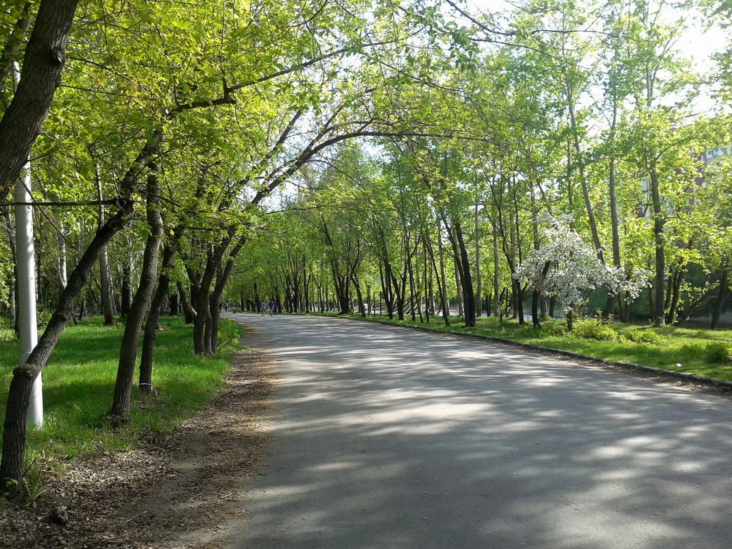 Парк - Екатерина Комогорова