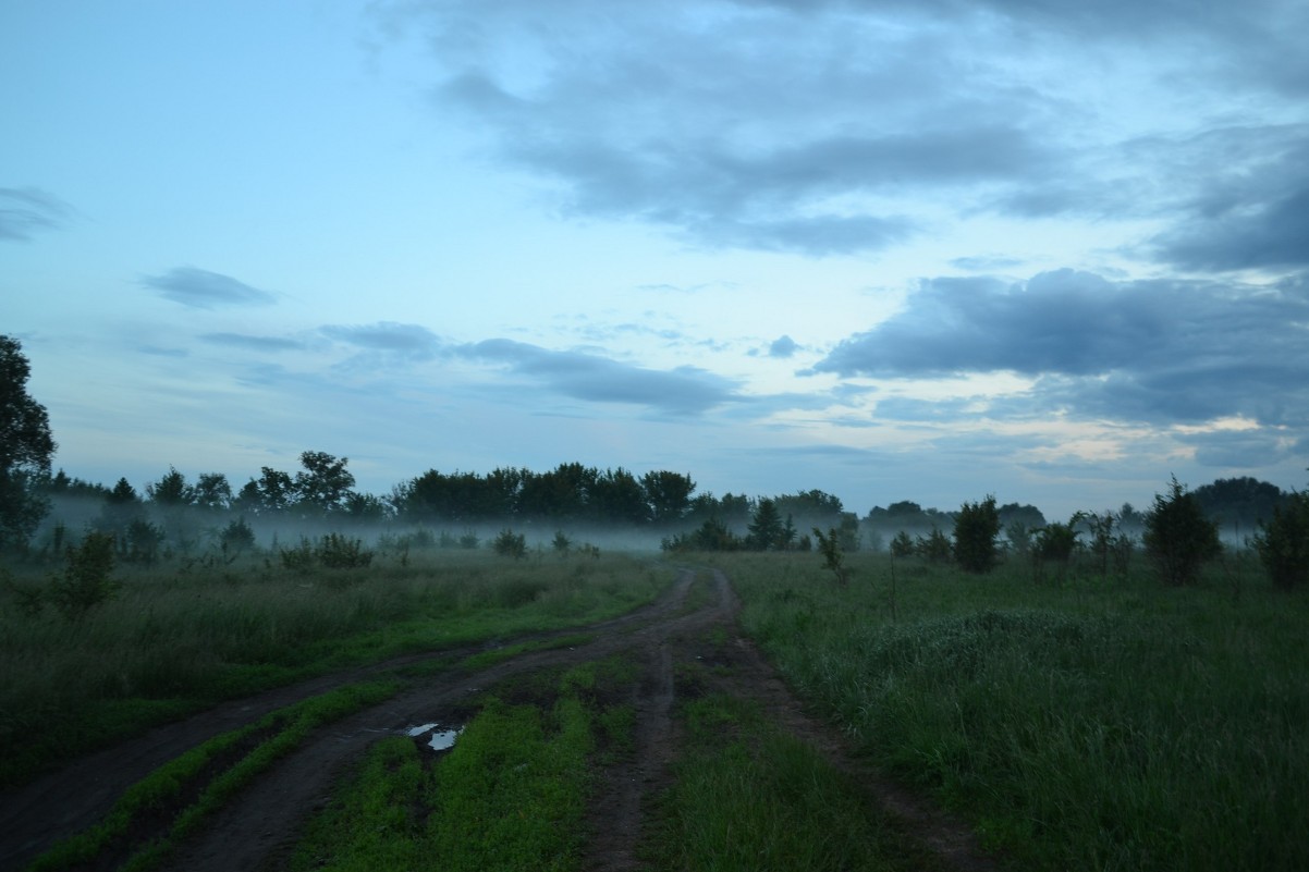 . - Вероника 