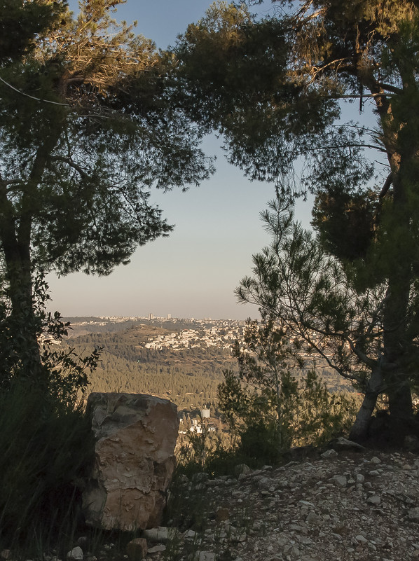 Вид на Иерусалим с пятой горы - susanna vasershtein