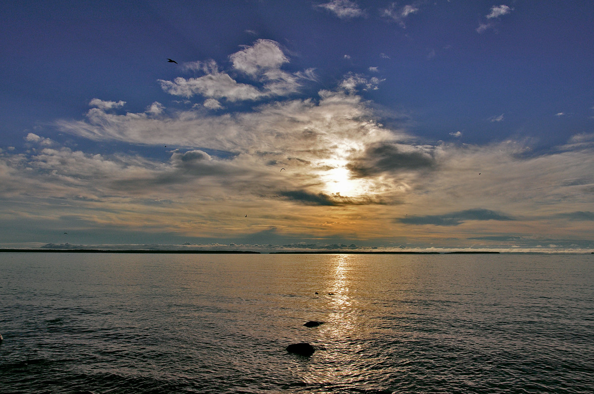рассвет на Онежском озере - Виктория Колпакова