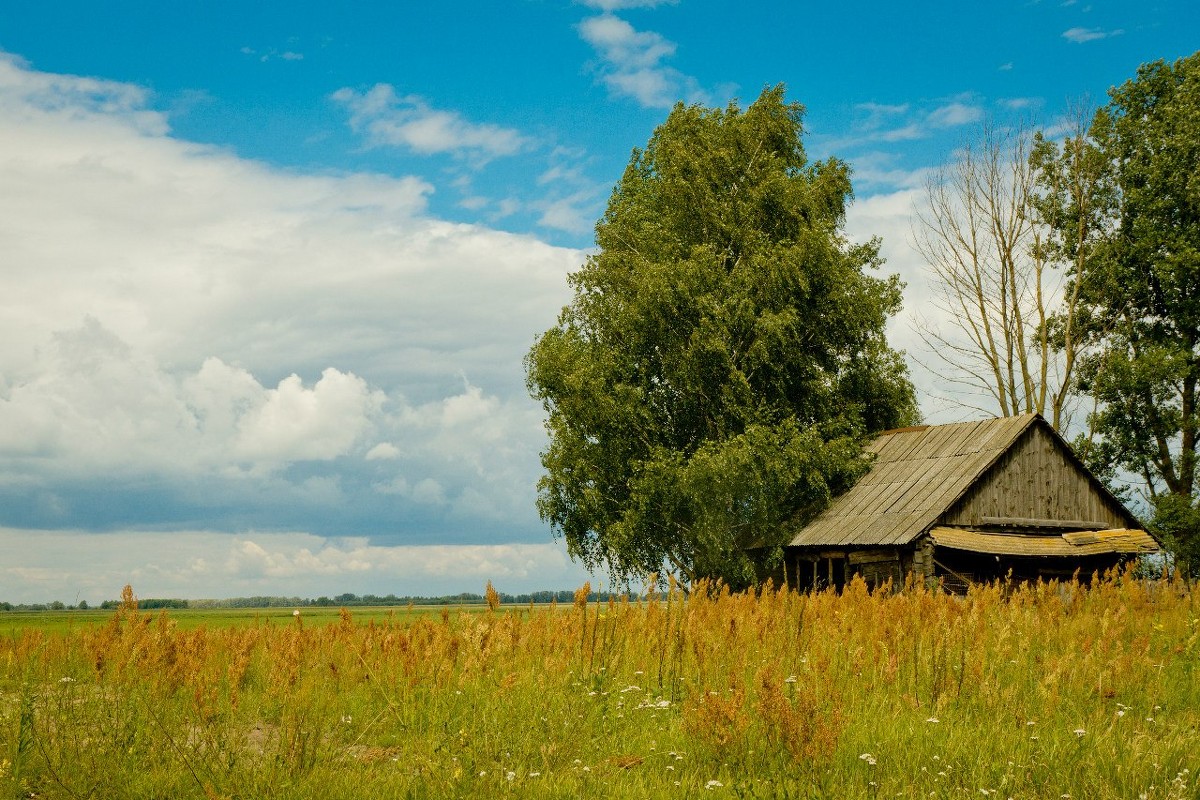 Белорусский пейзаж - Александр Аль-А