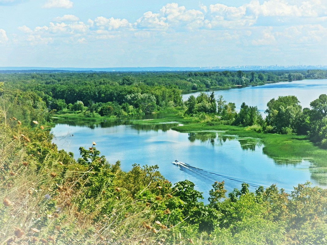 . - Дарья Кувшинникова