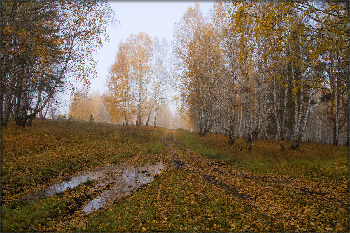 Дороги осени - Александр 