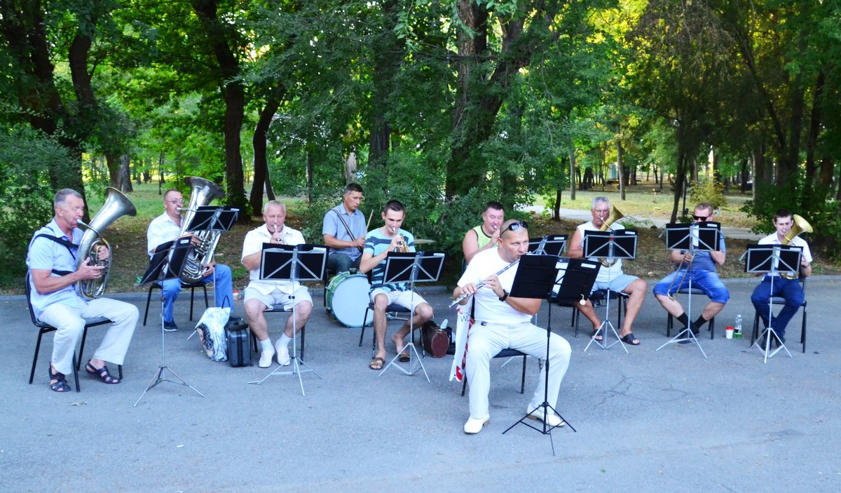 В городском саду играет духовой оркестр - Владимир Болдырев