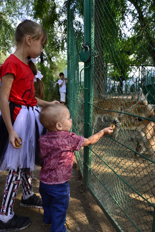 Зоопарк 1 - Alexandr Yemelyanov