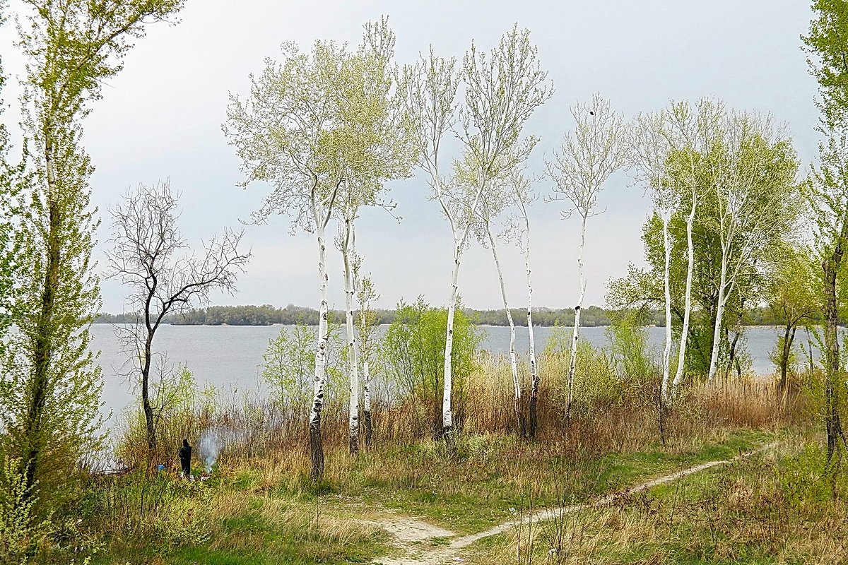Весенний день у реки - Александр Бурилов
