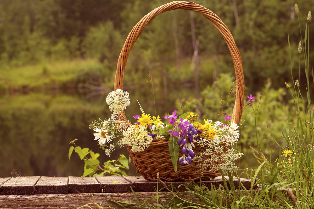 Корзинка с цветочными дарами лета - Элен .