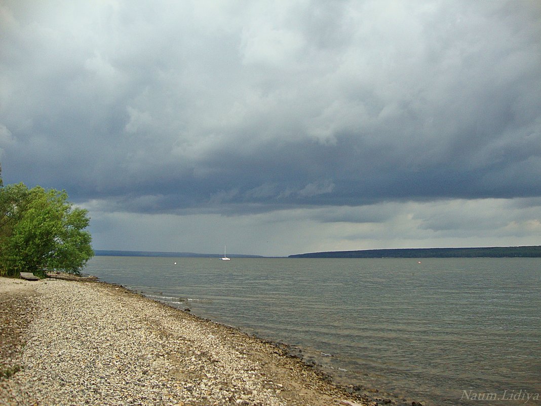 Берег Сурского водохранилища