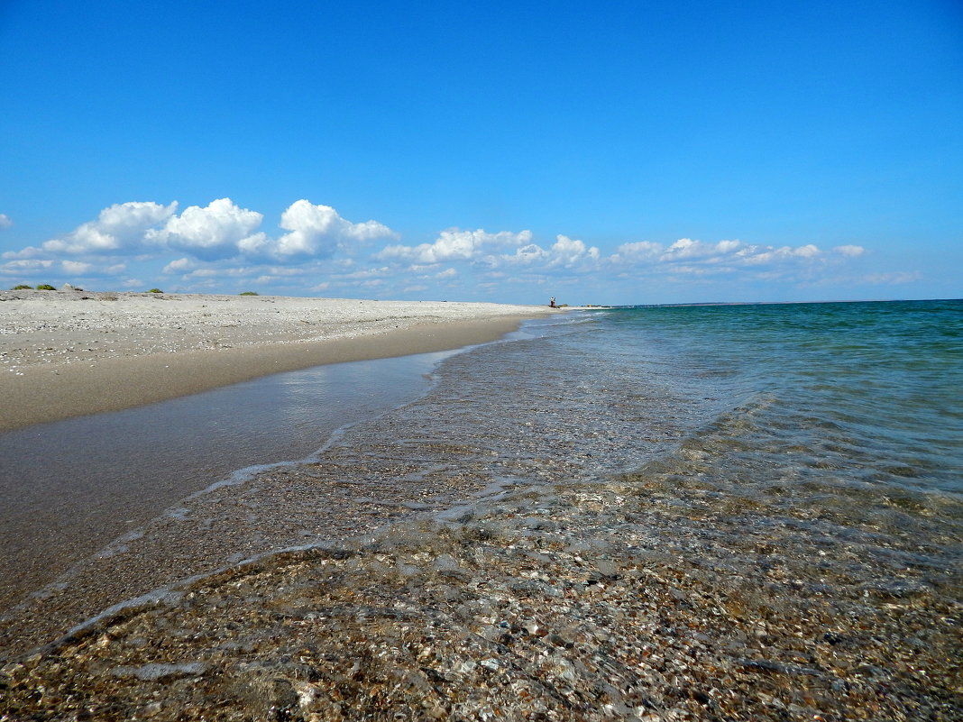 Пустынный пляж.Азовское море.Бердянск - Рина Воржева