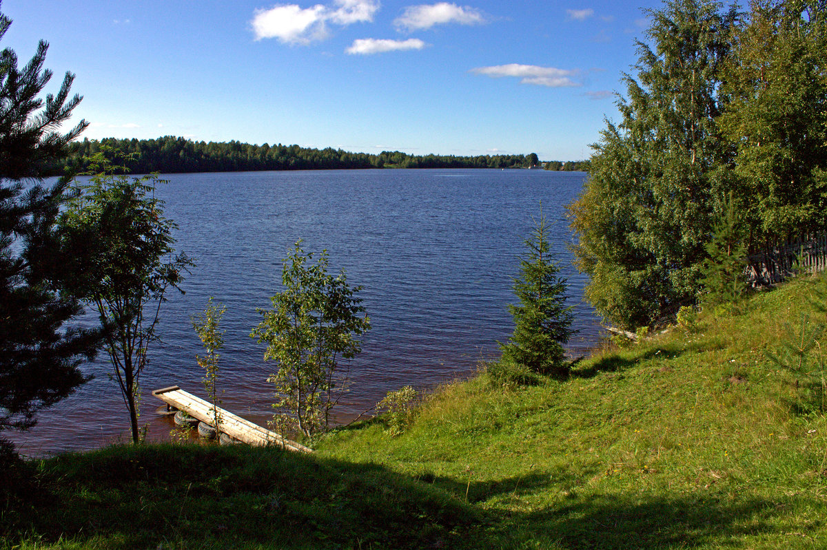 *** - Анжела Пасечник