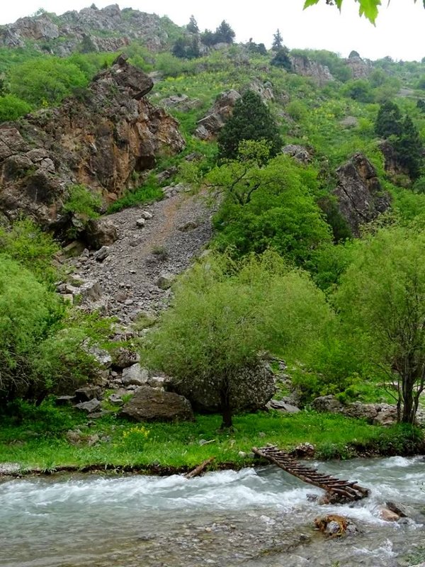 ЛЕТО В ГОРАХ. - Виктор Осипчук