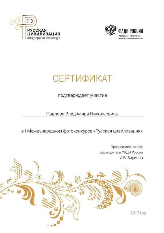 Сертификат - Владимир Павлов