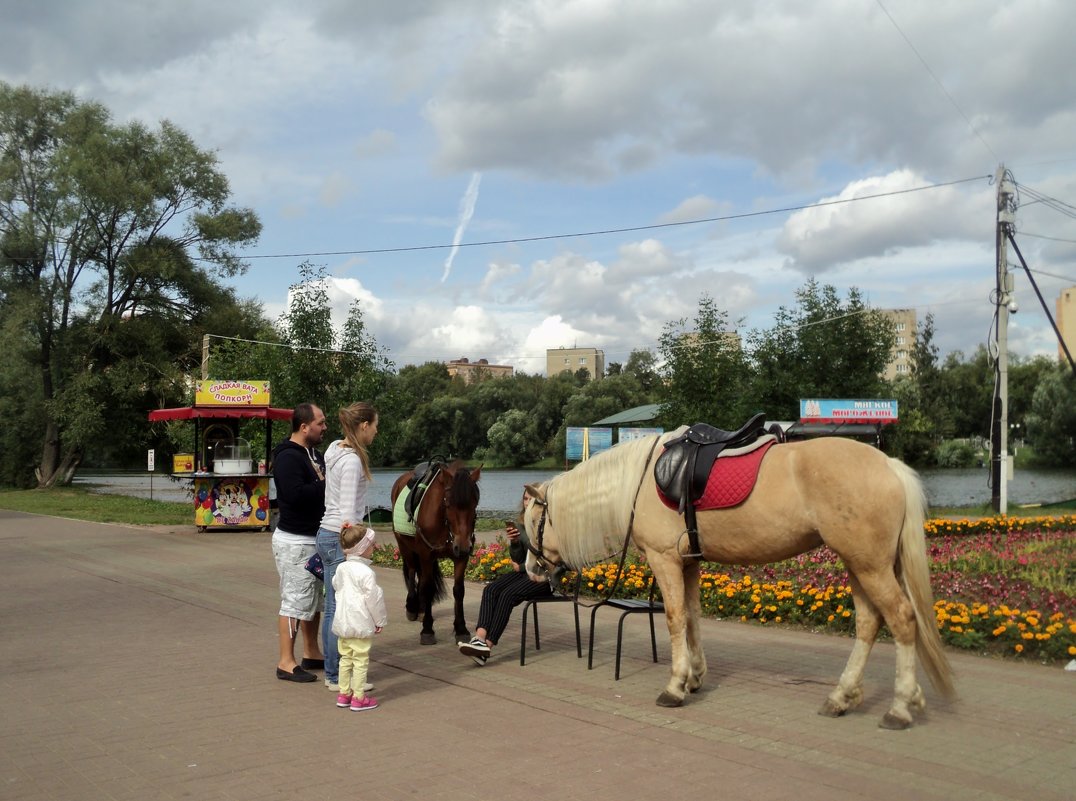 В Наташинском парке города Люберцы. - Ольга Кривых