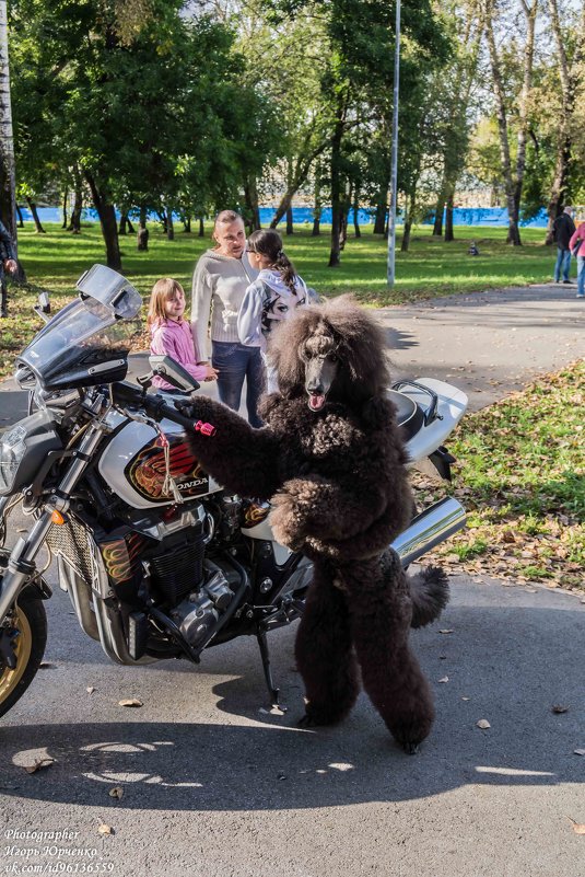 фото с другом - Игорь Юрченко