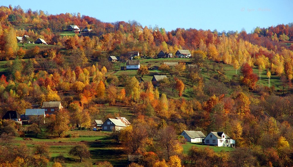 Осінь в Карпатах - Степан Карачко