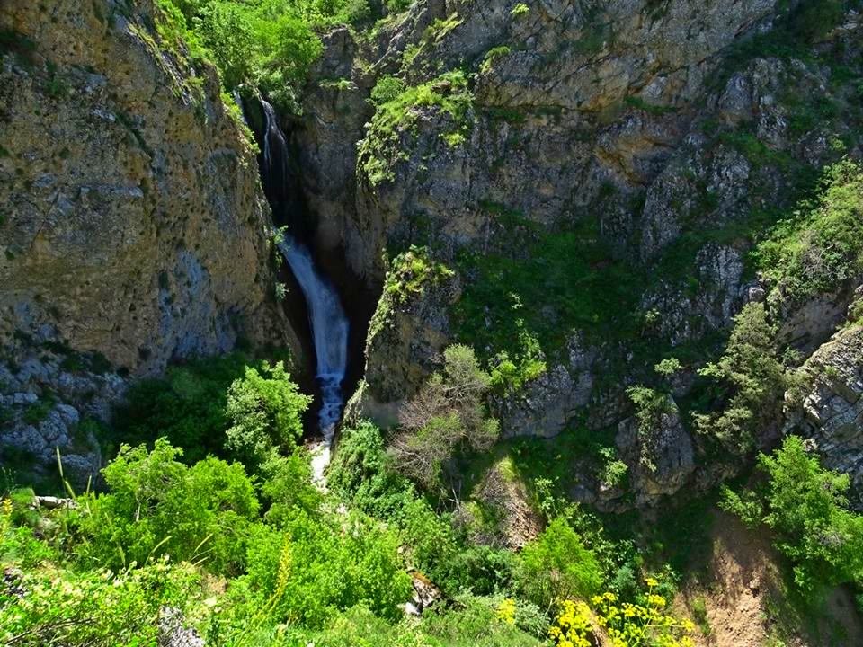 ЛЕТО В ГОРАХ. - Виктор Осипчук