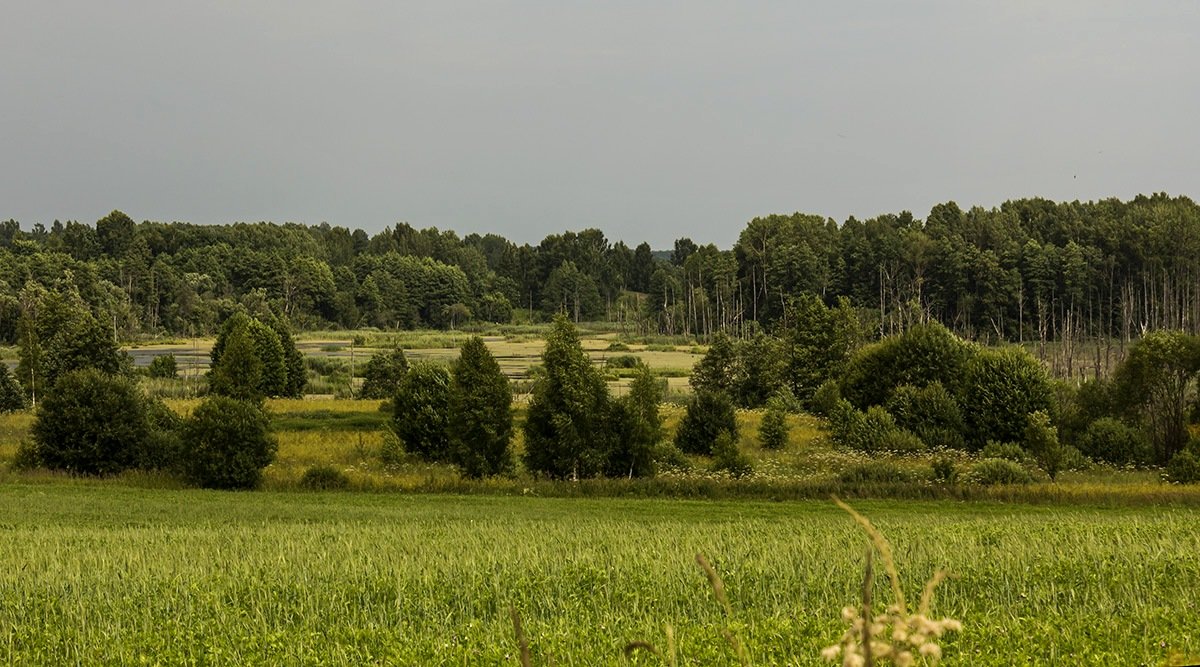 *** - Александр 