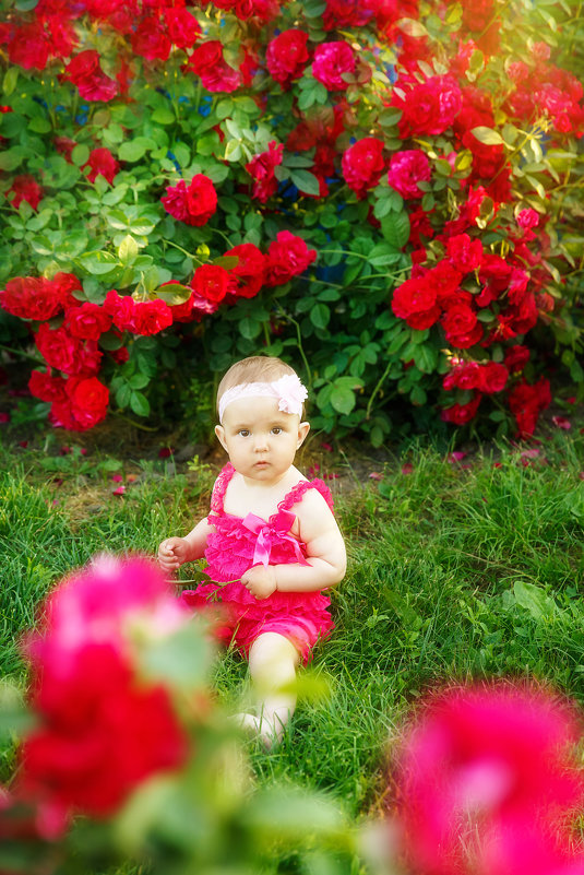 В розовом саду - Юлия Роденко