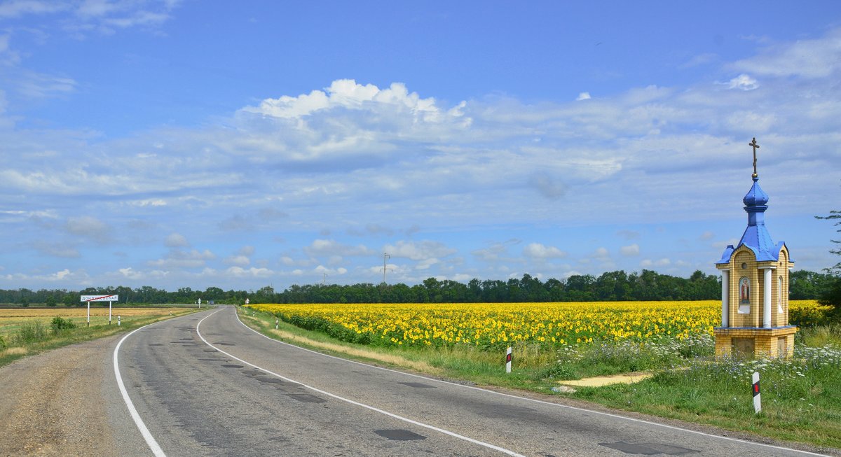 ** - Петр Заровнев