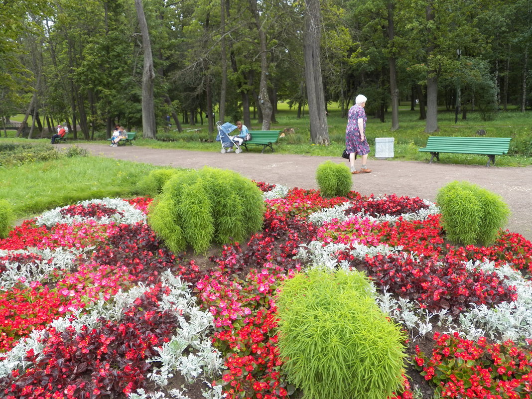 В  ПАРКЕ - Виктор Елисеев