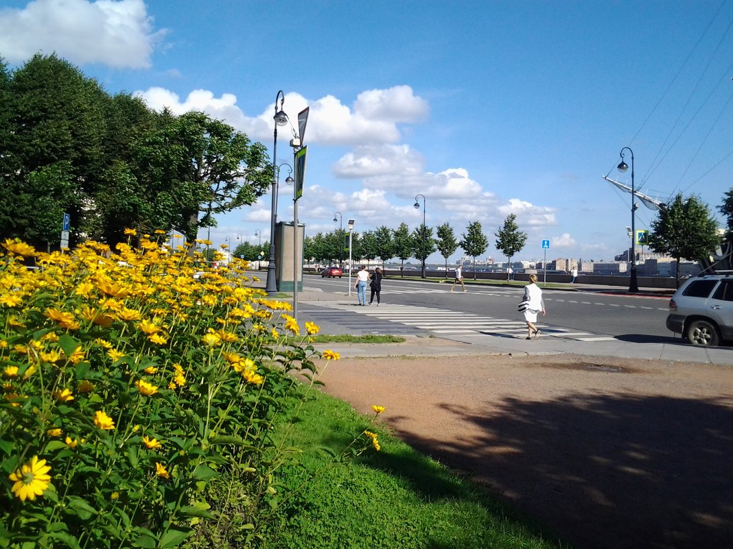 Санкт-Петербург.Прогулка по городу. - Жанна Викторовна