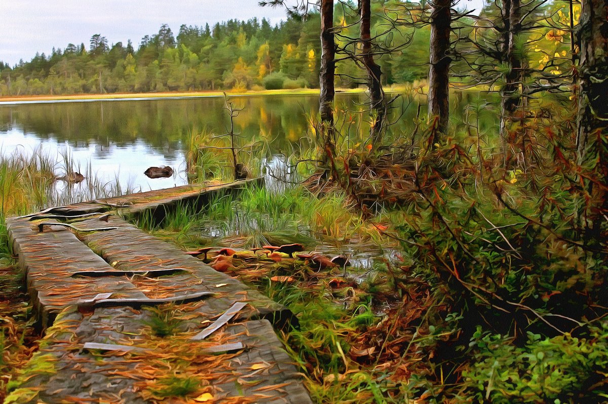 Озеро Медвежье - Анжела Пасечник