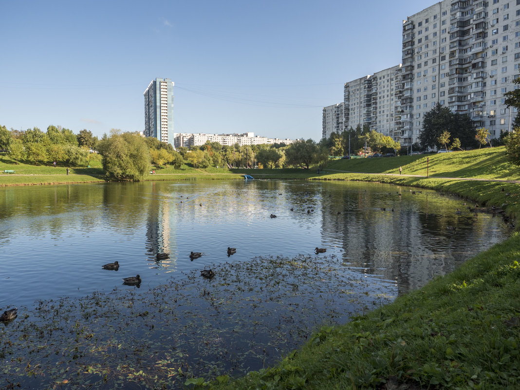 на прудах - Лариса Батурова