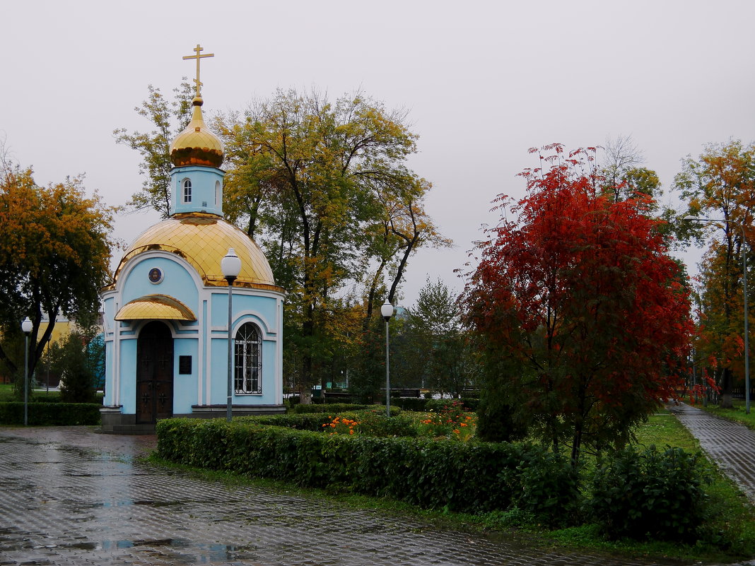 Дождливый день - Нина северянка