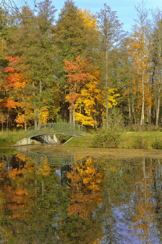Осенний пейзаж - bajguz igor
