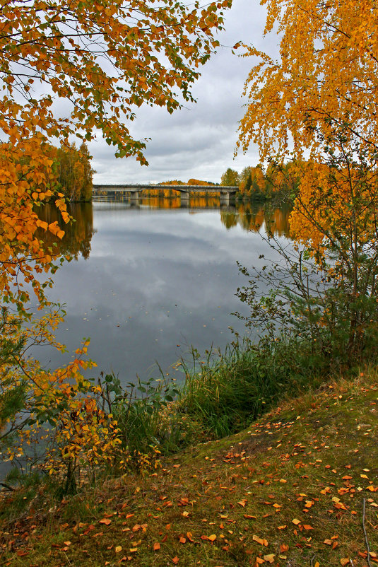 * - Анжела Пасечник