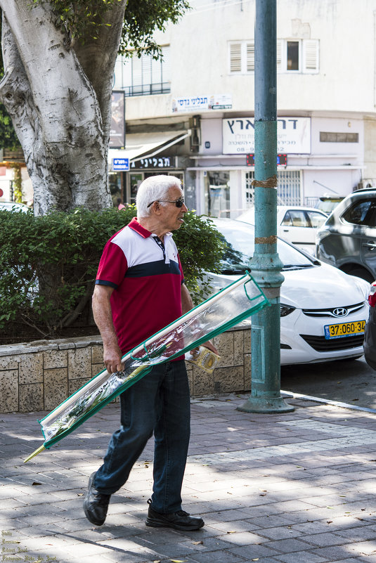 Суккот: По дороге в Синагогу - Aleks Ben Israel