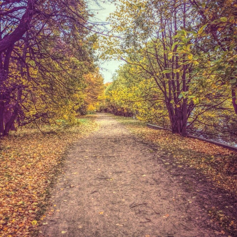 Прогулка в осень! - Натали Пам