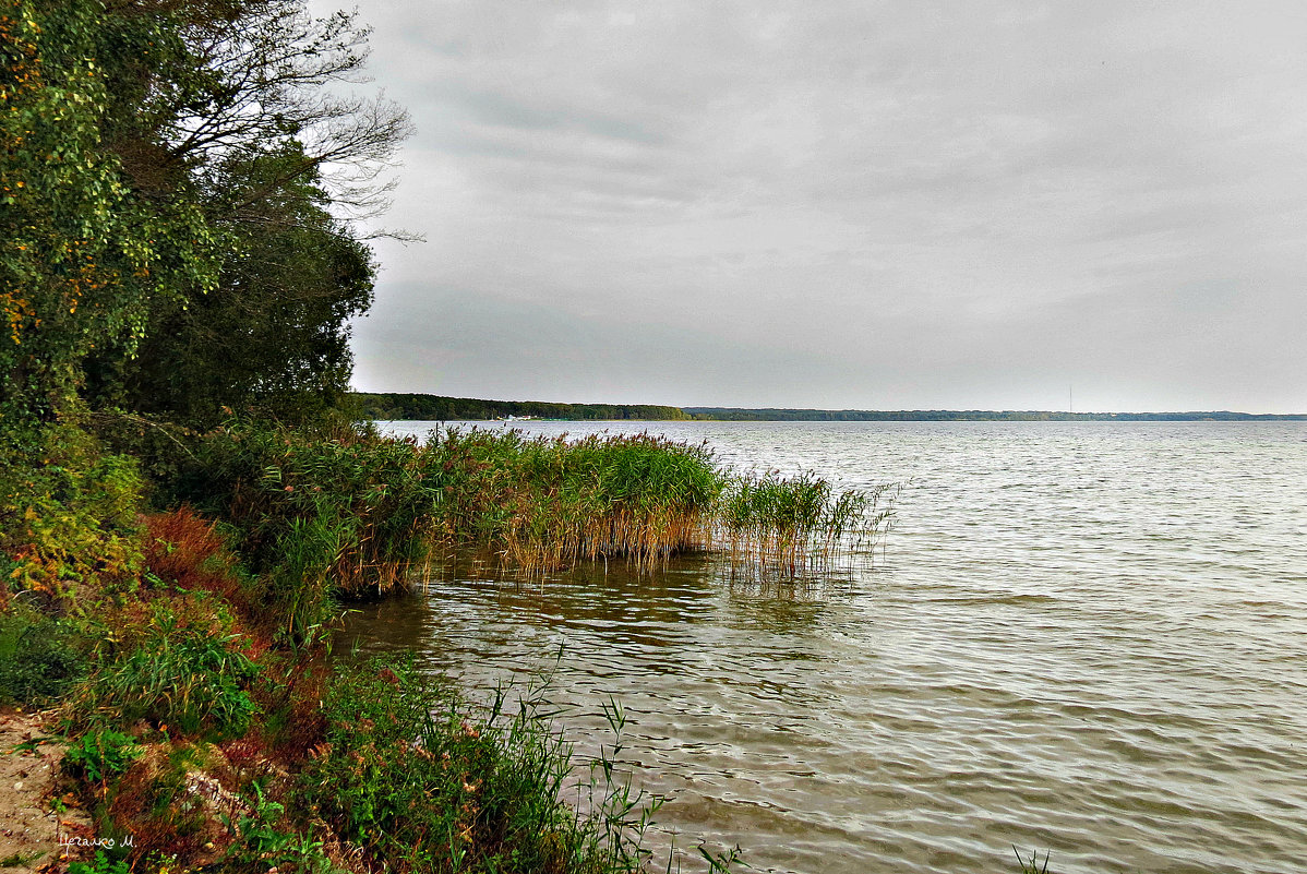 Озеро Нарочь - Михаил Цегалко