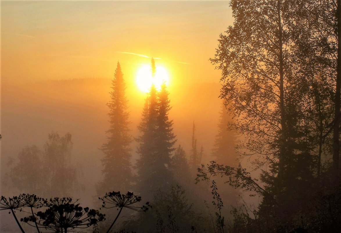 Восходит солнце в утреннем тумане - Сергей Чиняев 