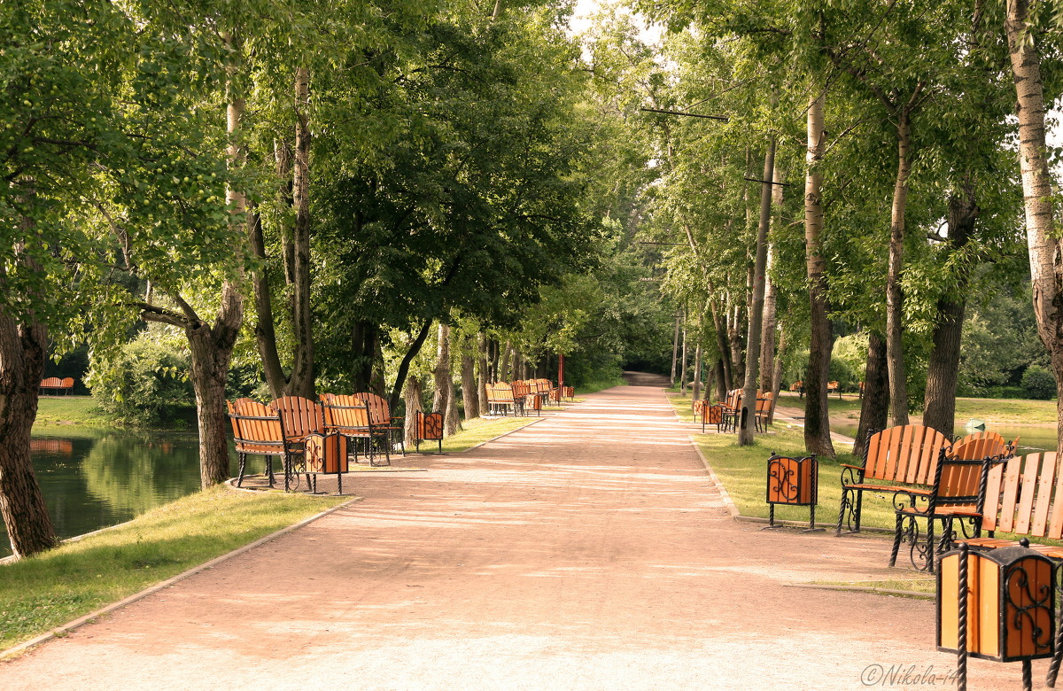 Утро в парке. - Nikolai Borisyakov