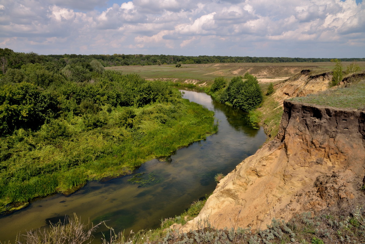 Река Медведица Саратовская область