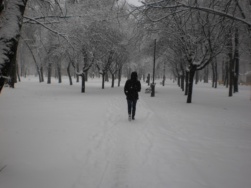 Бульвар под снегом - Наталья Тимошенко