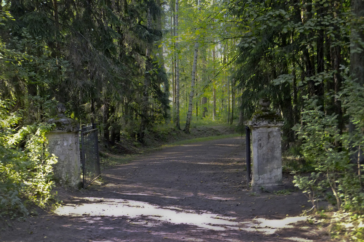 Старые ворота - Инна Шолпо
