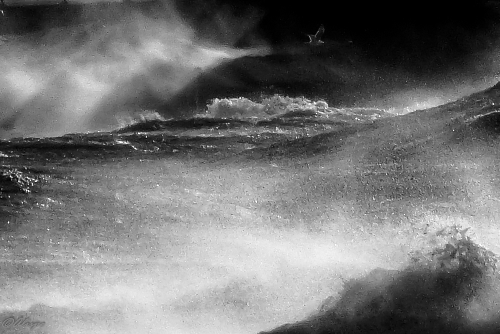 Буревестник гордо реет между молний над ревущим гневно морем - Olesia Kasabova