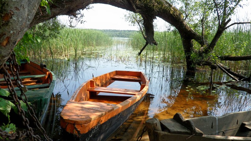 лесное озеро - Валерия Яскович