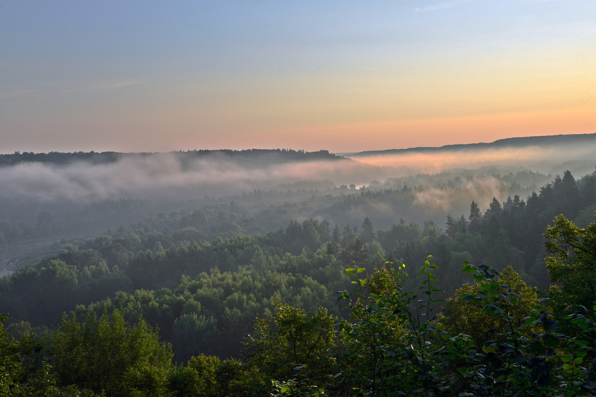 Land of mist - Дмитрий Каминский