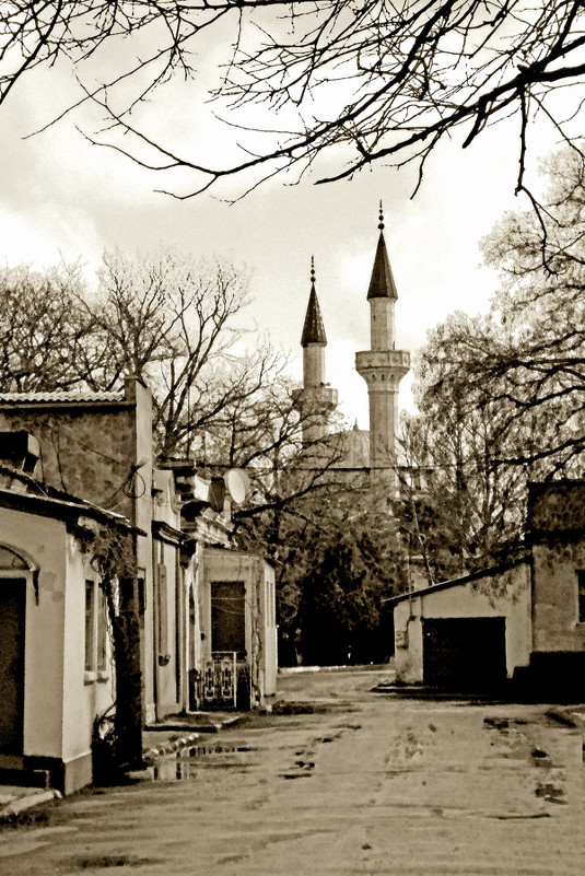 Мечеть на старой улице - Олег Боголюбов