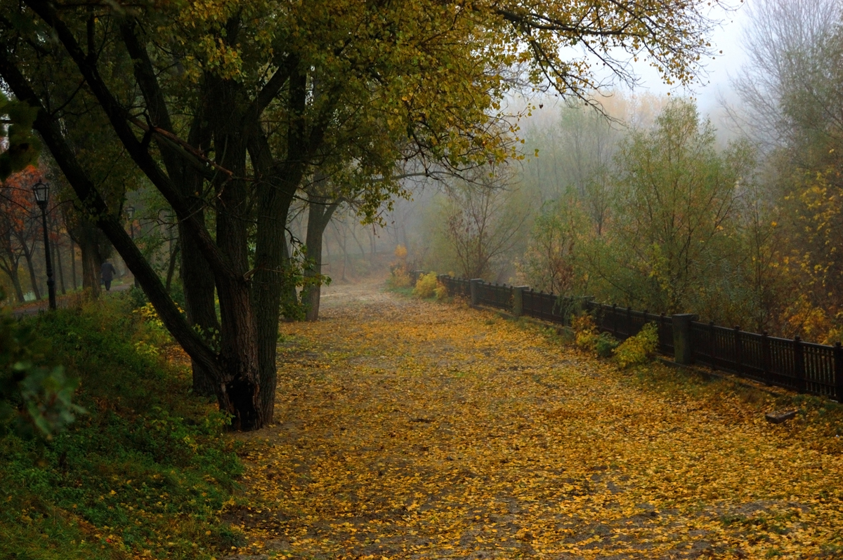 Парк - Егор Боровик