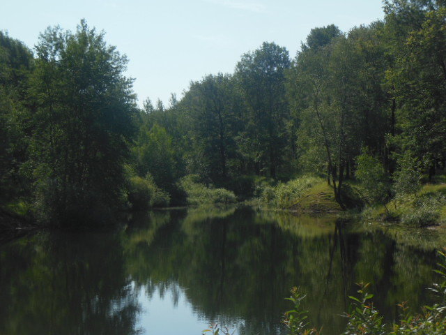 Озеро в парке - Kseniya Merkulova